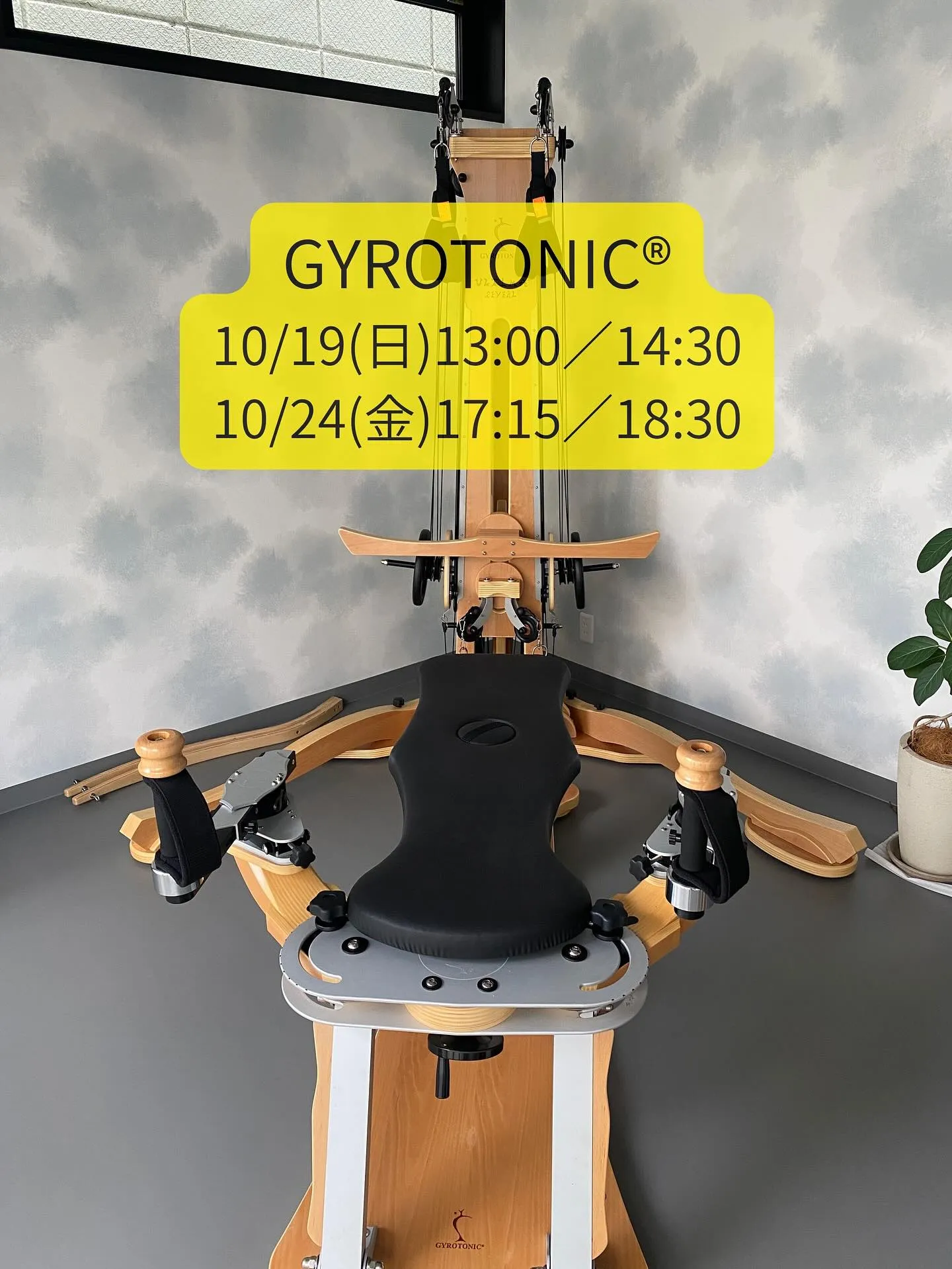 [ジャイロキネシス®︎／ジャイロトニック®︎]