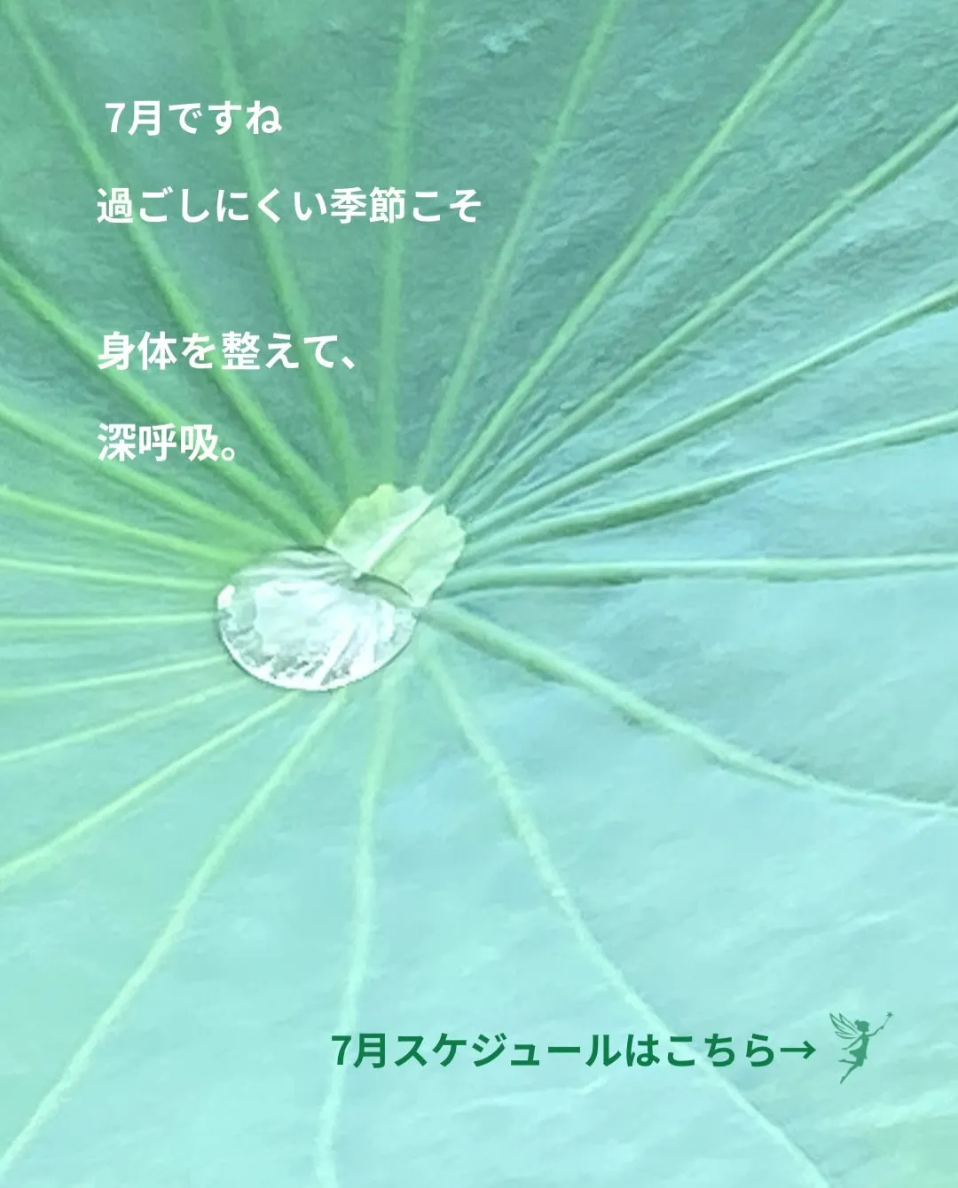 [7月バレエオープンクラススケジュール]