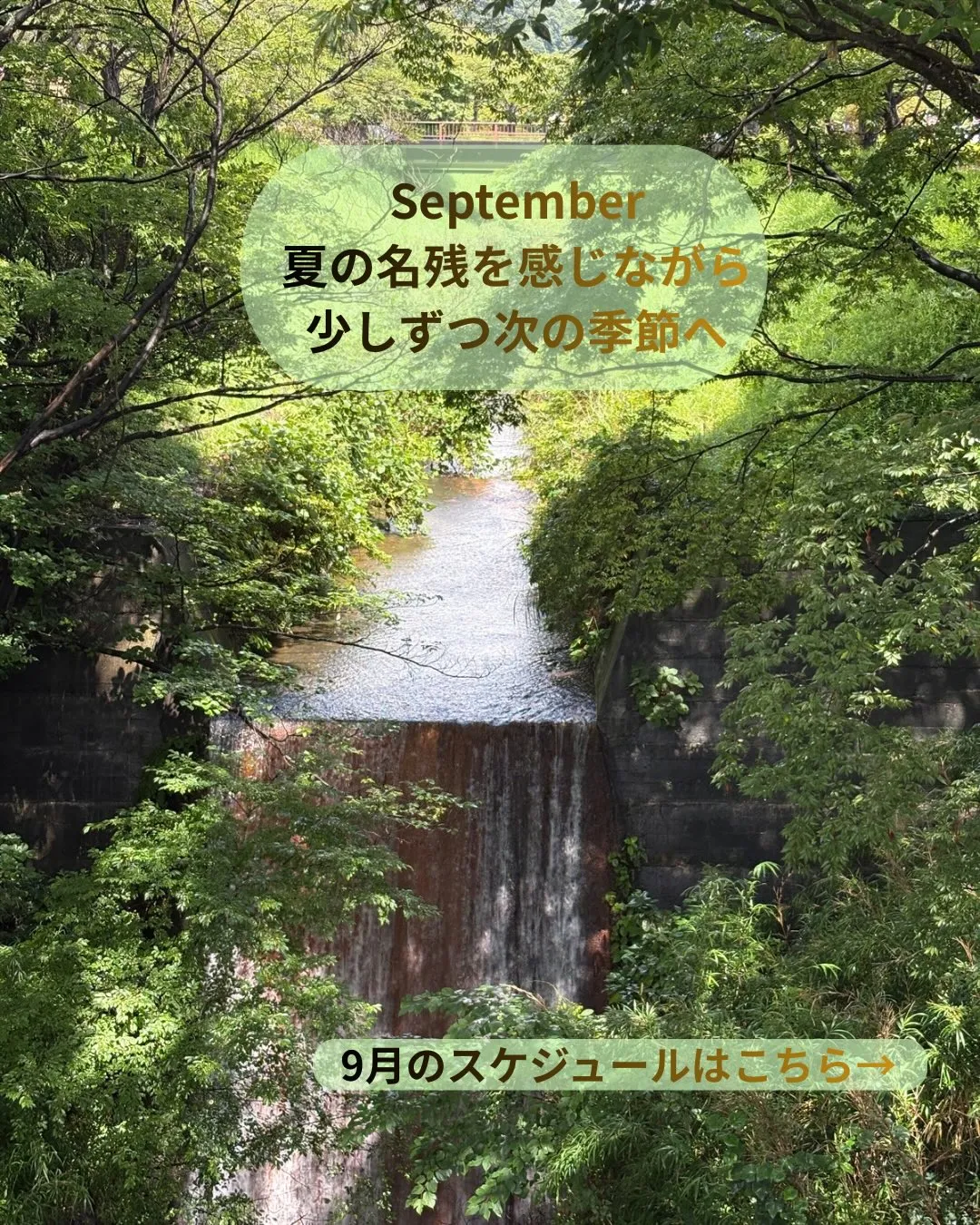 [9月 バレエオープンクラススケジュール]